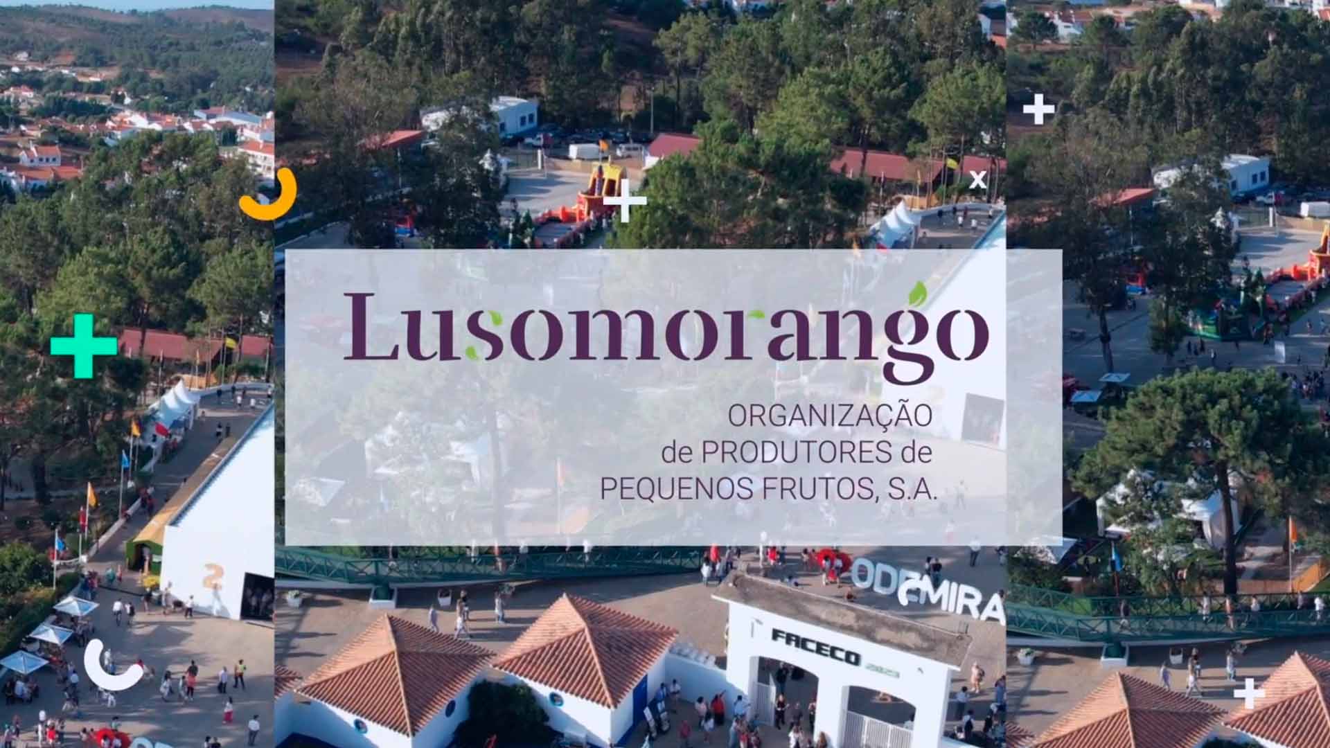LUSOMORANGO – FACECO 2023